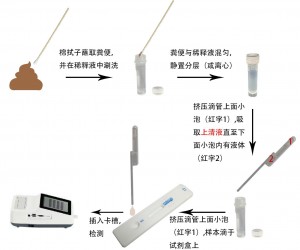 犬冠狀病毒抗原定量檢測(cè)試劑盒(稀土納米晶熒光免疫層析法)(CCV Ag)