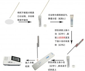 犬瘟病毒抗原定量檢測(cè)試劑盒(稀土納米晶熒光免疫層析法)(CDV Ag)
