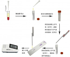貓瘟病毒/貓杯狀病毒/貓皰疹病毒抗體定量檢測試劑盒(稀土納米晶熒光免疫層析法)(FPV/FCV/FHV Ab)