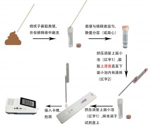 貓瘟病毒抗原定量檢測試劑盒(稀土納米晶熒光免疫層析法)(FPV Ag)