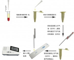犬N端前腦利鈉肽定量檢測試劑盒(稀土納米晶熒光免疫層析法)(cNT-proBNP)
