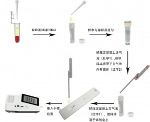 犬促甲狀腺激素定量檢測試劑盒(稀土納米晶熒光免疫層析法)(cTSH)