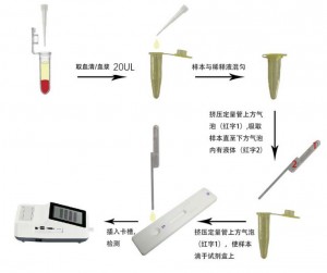 貓胰脂肪酶定量檢測(cè)試劑盒(稀土納米晶熒光免疫層析法)(fPL)