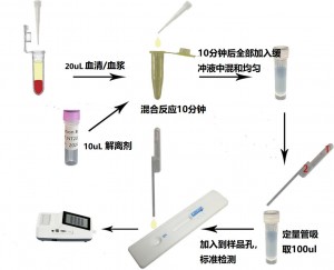 貓總甲狀腺素定量檢測試劑盒(稀土納米晶熒光免疫層析法)(fTT4)